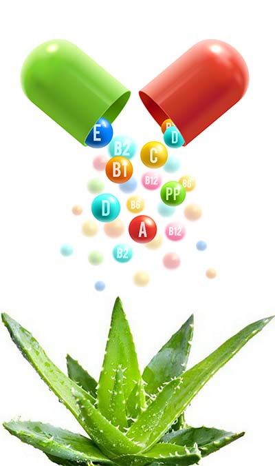 aloe vera leave in cure 100% Pure Aloe Vera Supplement | Boosts immune system