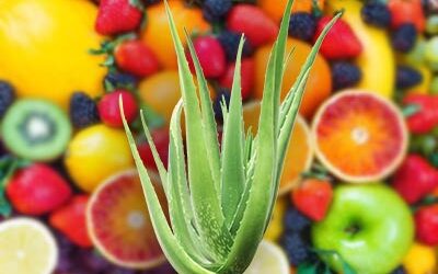 Aloe in Dietary Supplements